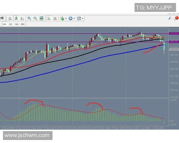 足球球星破产背后的真相：财富背离与生活选择的复杂交织